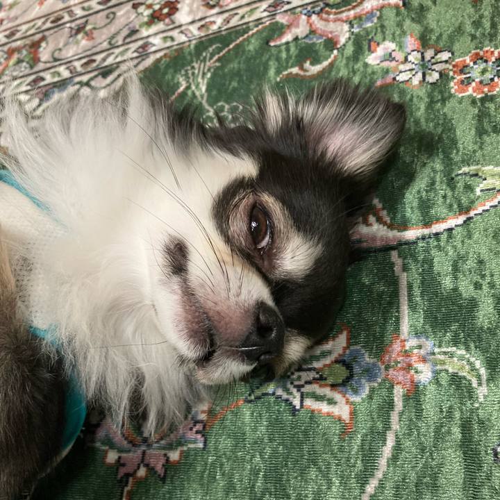 A3da0efa ae75 459f a507 b11ba883fe0f 1654961037118