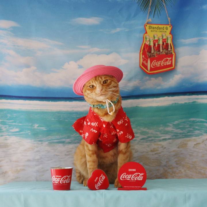 A3da14e0 40c7 4af5 8dec da5a6024bb33 1755515553632