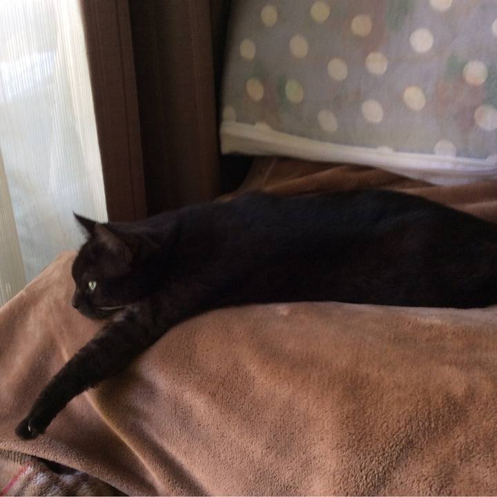 A3da1530 281d 471b ad20 cb3cd96a8743 1509527885101