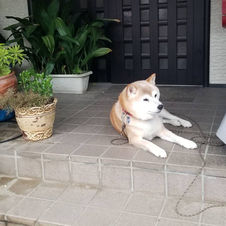 A3da265a 1f51 474c af46 d71b7c0ca773 1721122160324