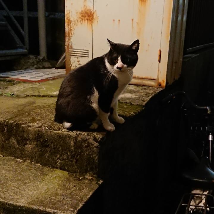 A3da2925 3758 4eb1 bf3a e4df0bea1119 1537360309179