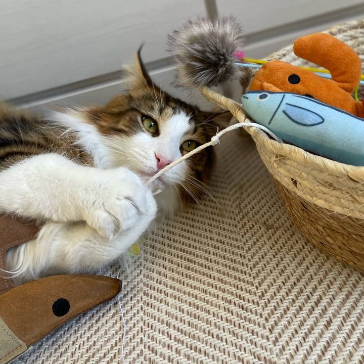 A3da6591 bb58 48ab 84ca 7caffe66375d 1654118353633