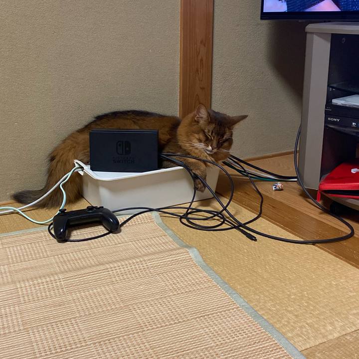 A3da88a4 3f9d 484e ac35 f28861b6da94 1656936292430