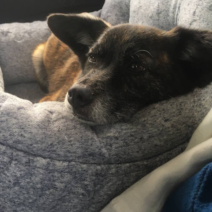 A3daafad c59b 4d99 a6ea ffb621c688e6 1557123553770