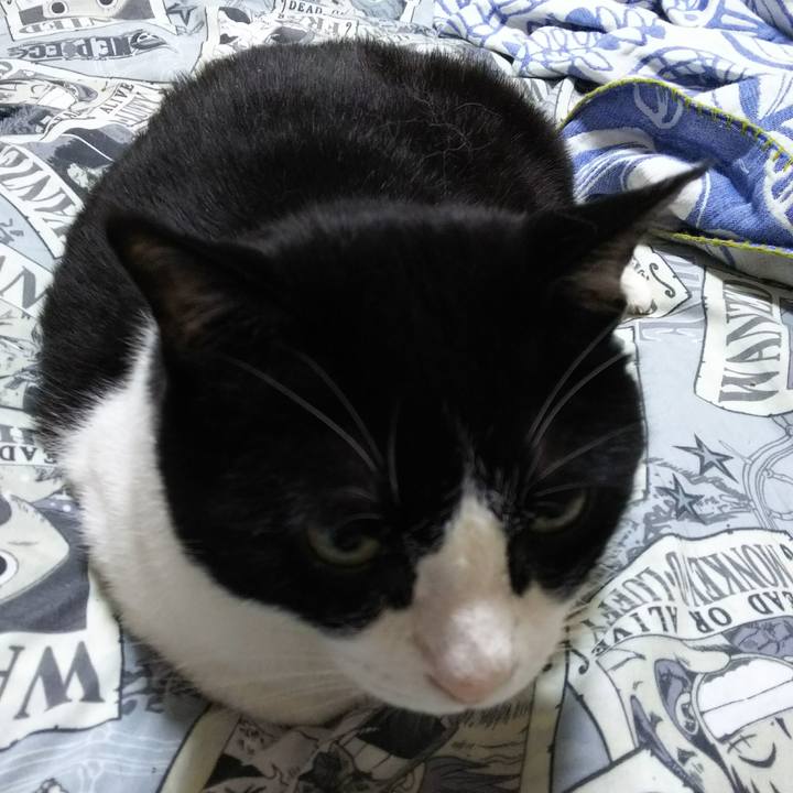 A3dabc98 78f4 448b 8f3a c88bd94d6527 1527712176374