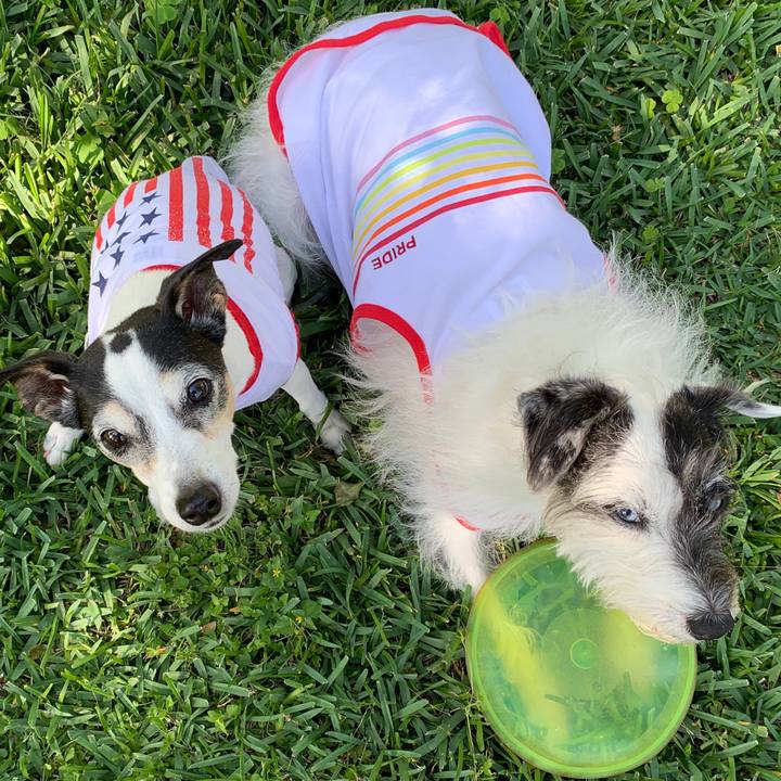 A3dadaa4 9030 4ac8 862a 9183d2e27b56 1587074551149