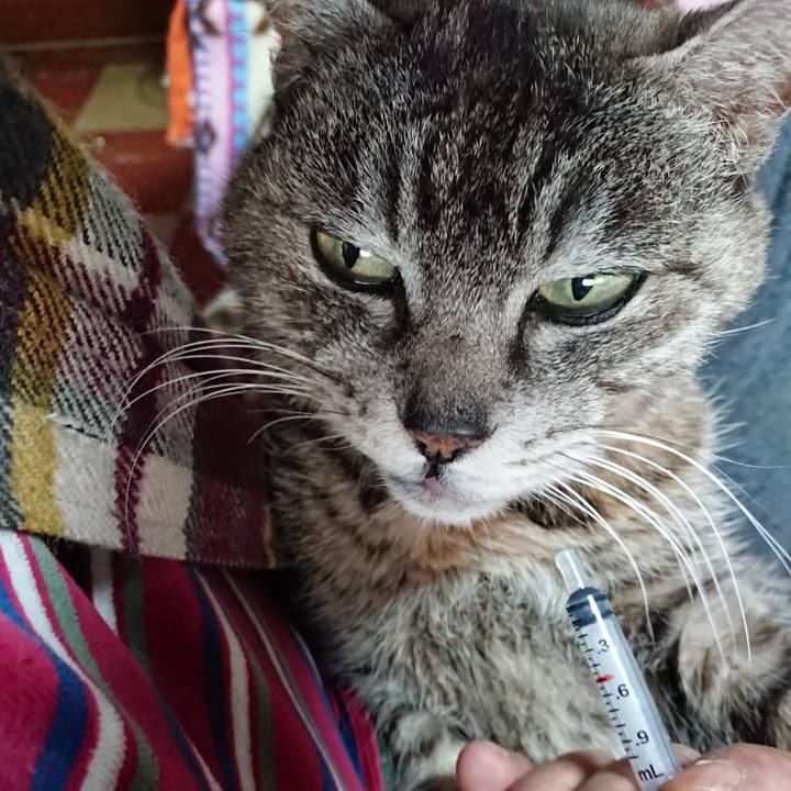 A3dadc54 a3c4 4ee8 92b1 82411311d195 1584742890434