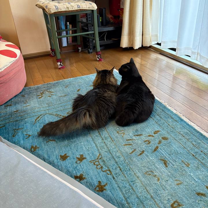 A3daff43 5949 4a7f b3d7 b7943a195e6a 1753923535473