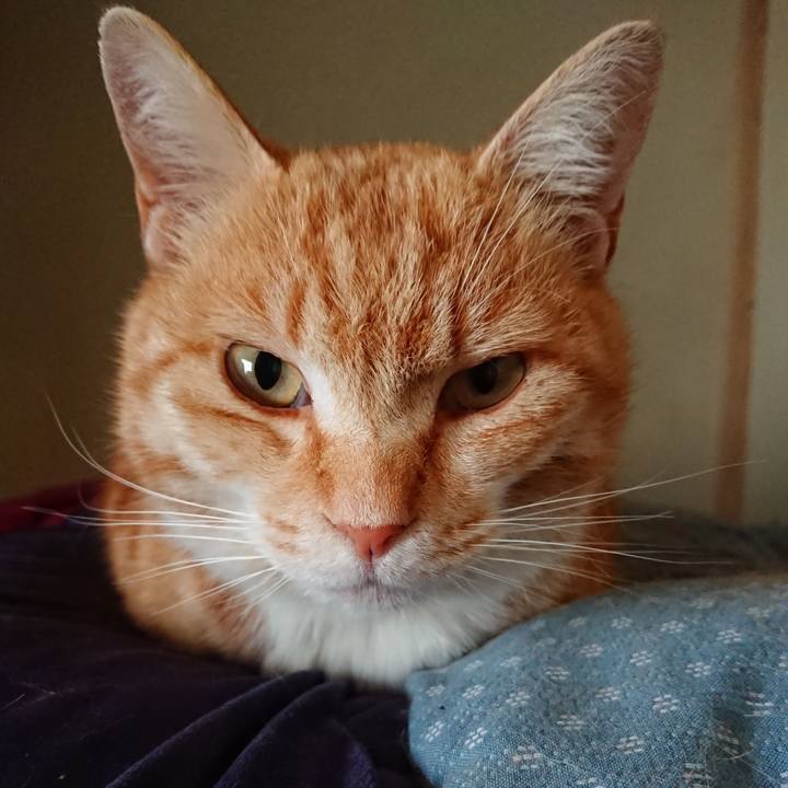 A3db4b4c ad0b 4dfd 9795 9e6501100cb7 1587263391390