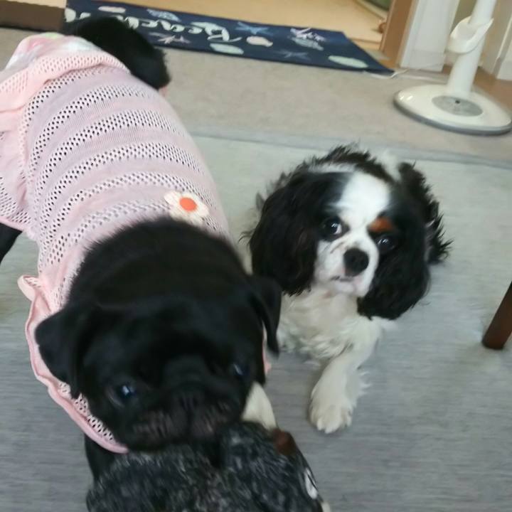 A3db7f2c 821b 482c bc70 ec8c90cce04e 1533621279009