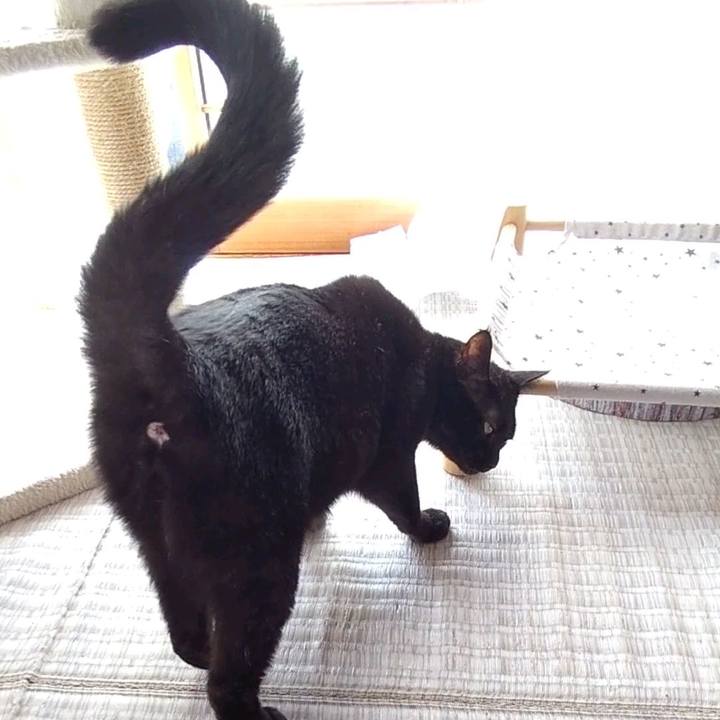 A3dba841 42a5 4682 a2ba 86a58277f5a9 1735099103506