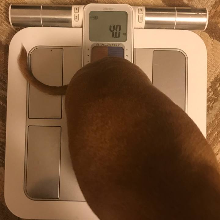 A3dbac3d fd45 4a13 b9d9 a89b47fad516 1510267996131