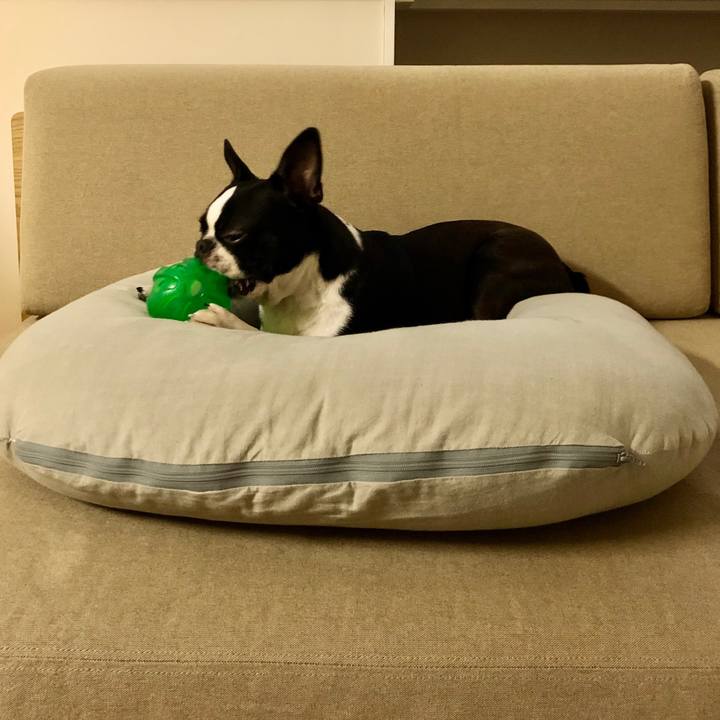 A3dc2213 2dbe 46ba bcd8 021fe63b45c1 1576567420588