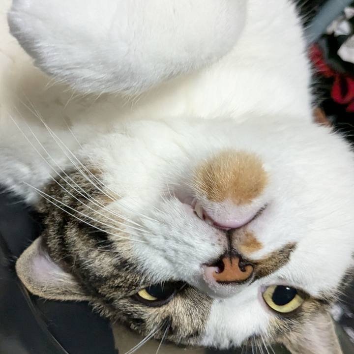 A3dc2bb3 a741 41ed 83f9 9b2190a0b207 1723031596296