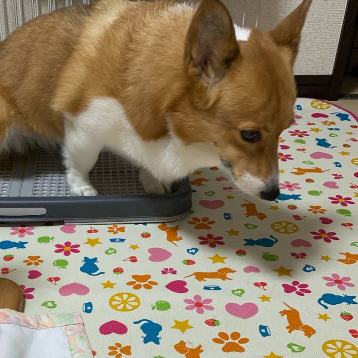 A3dc2fad 79cb 41fc a3ff ab023468cbc3 1570896103408