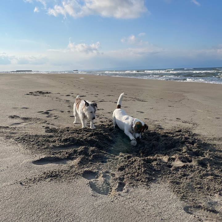 A3dc42a6 0b64 41dc 916c 558780d6dab6 1737541789670