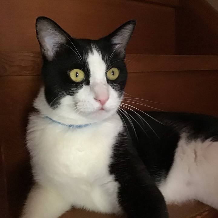 A3dc8804 b52a 4186 bd6b 1690055cfef8 1694835819577