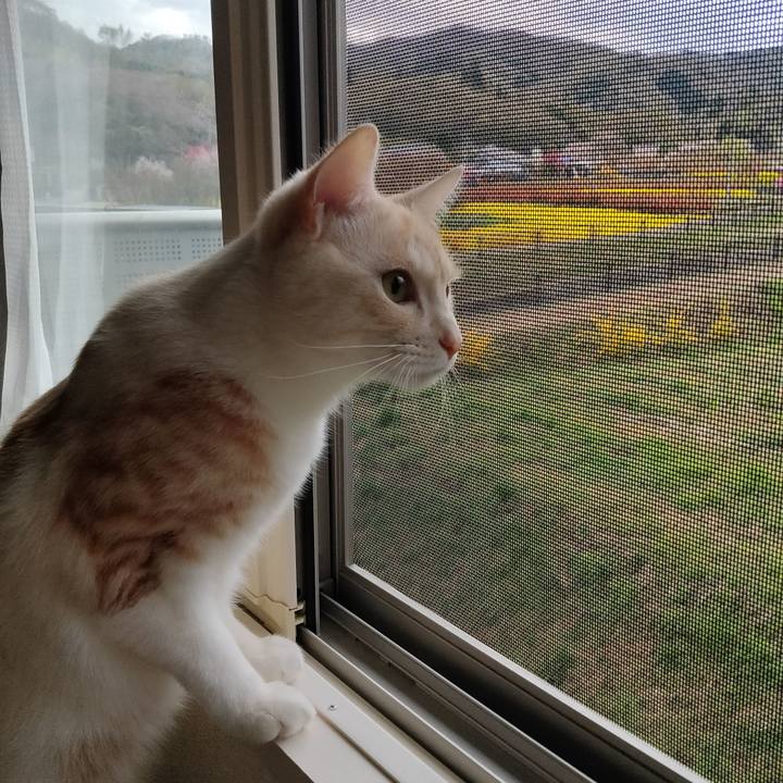 A3dca37c 774f 4fb4 bca6 085cc10137c1 1680904310762