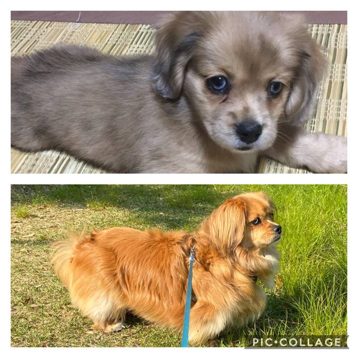 A3dca5bf 9624 401f 9d0c 07a191835ced 1588801520498