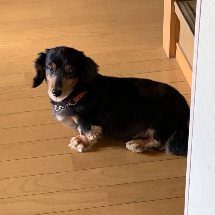 A3dd2040 dbf9 4efa 961b 36e250f9c3aa 1564093929981