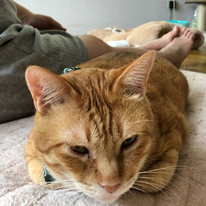 A3dd27b3 ddbb 437b b1d1 e42b6cfdb921 1559768665102