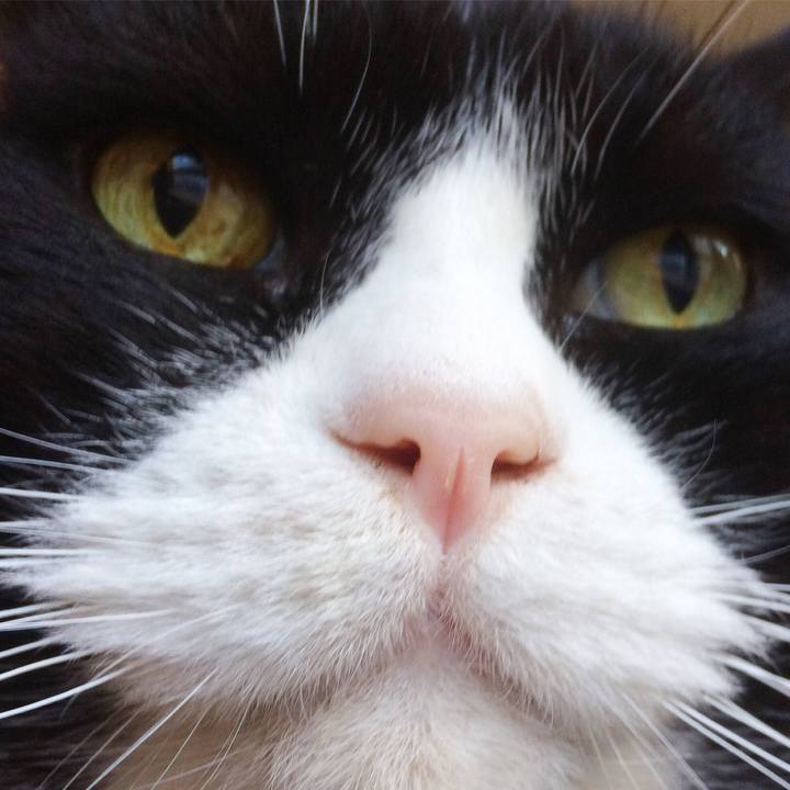 A3dd74f2 aab6 4e3a b00a 218282d69a28 1513986607572