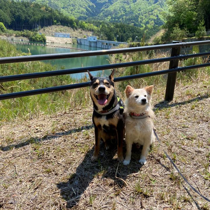 A3ddd910 2fc9 455e 8ea4 9338a9180c2b 1651565033589