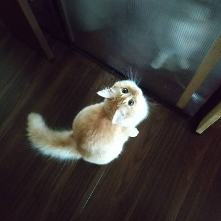 A3ddeb2d c95a 48dc 8981 39f009999ed5 1631796081162