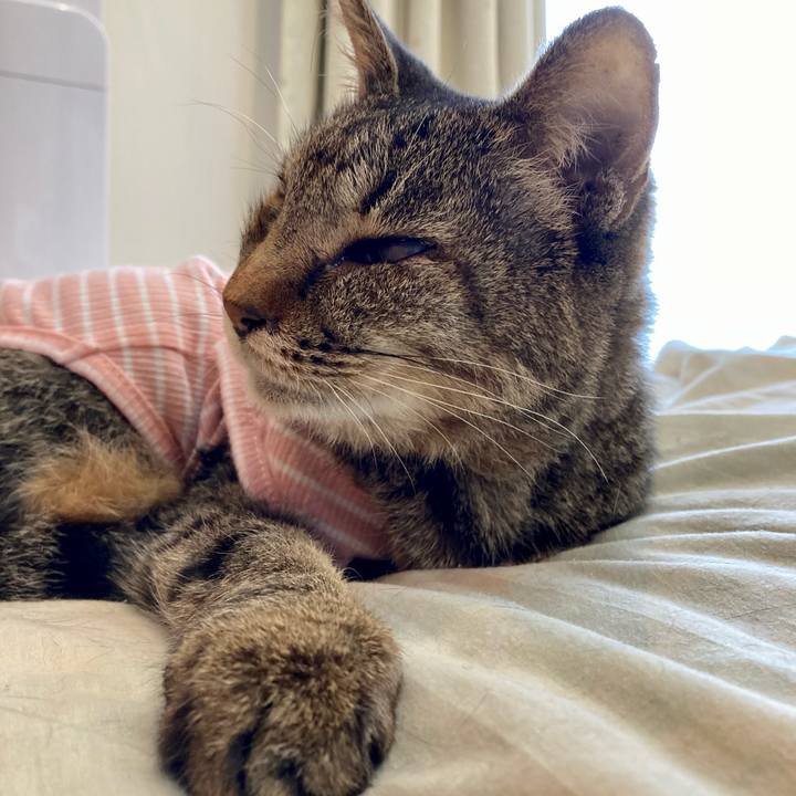 A3de09ec 27f0 4284 9a3d bce6aa69d918 1680249328103