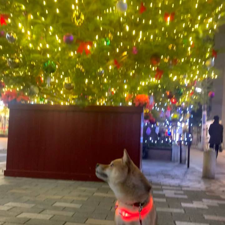 A3de1fcd 8dcf 40f3 9c13 56eeb2fa9c14 1766485860900