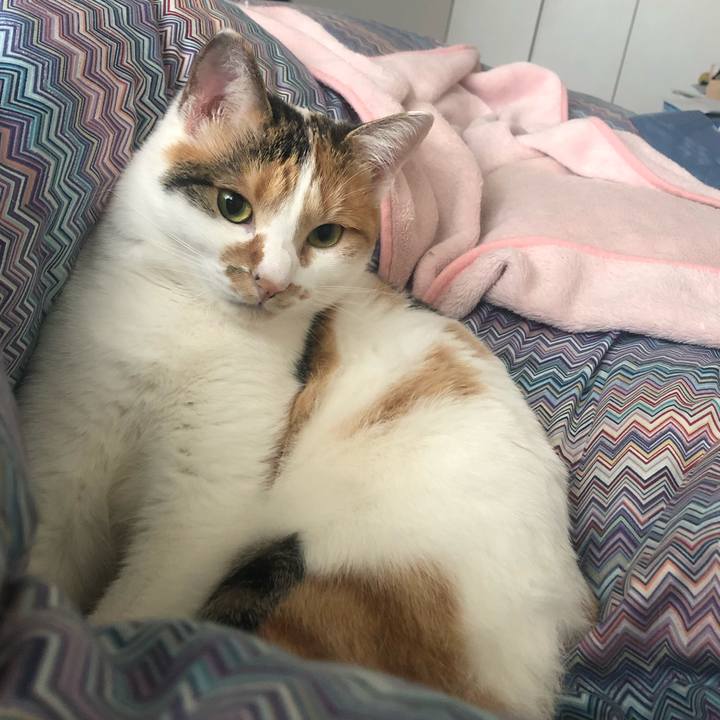 A3de4845 0ea7 4e99 a659 d7c5e6eed4fe 1604797248806