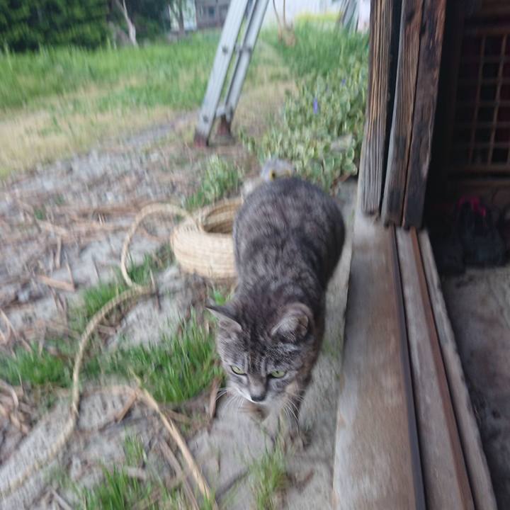 A3de4ca5 d29d 44d4 aaf1 9c7c8e9764a2 1589274577311