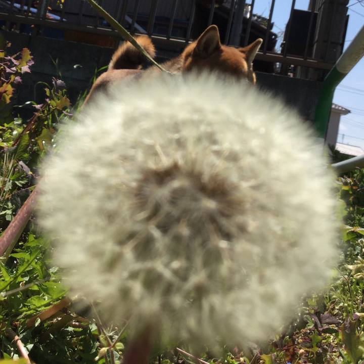 A3de693e 959b 46fe 9a4d ac4d5d7e440a 1586572723351