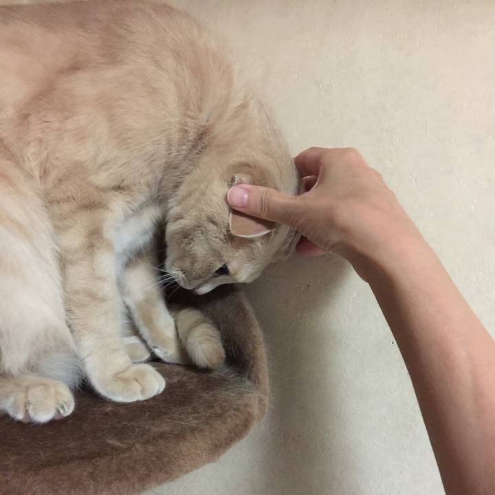 A3de9d96 746c 4a44 ab72 aa4ca34e9e24 1534676951242