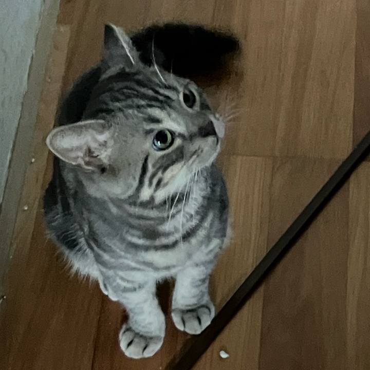 A3dea25d 7af9 47c1 a4c1 cd21fb907e1a 1787616229020