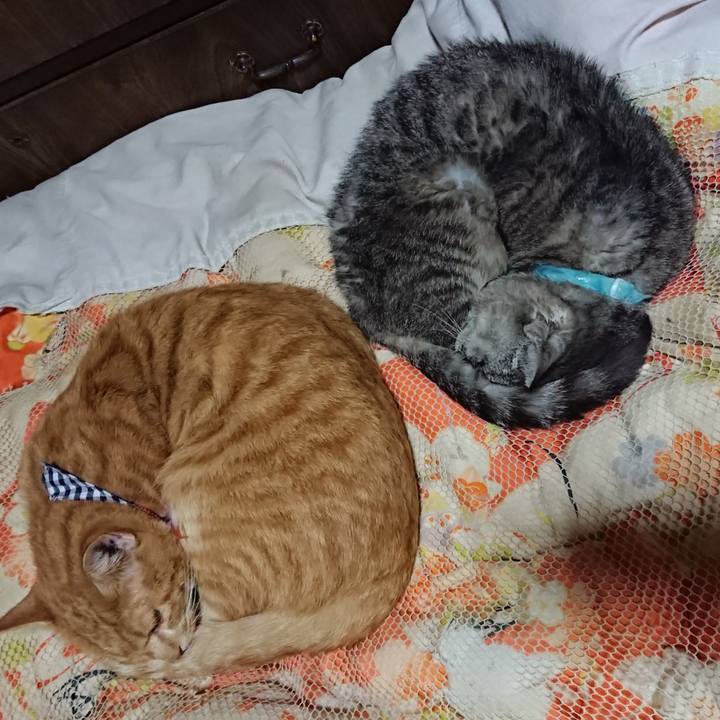 A3debe66 7856 469c be92 74d001744e43 1568899657422