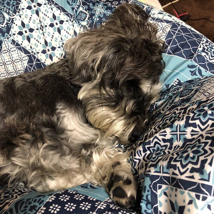 A3dec7aa a57c 4f18 a2b1 1a24d48a6ea7 1526213773353