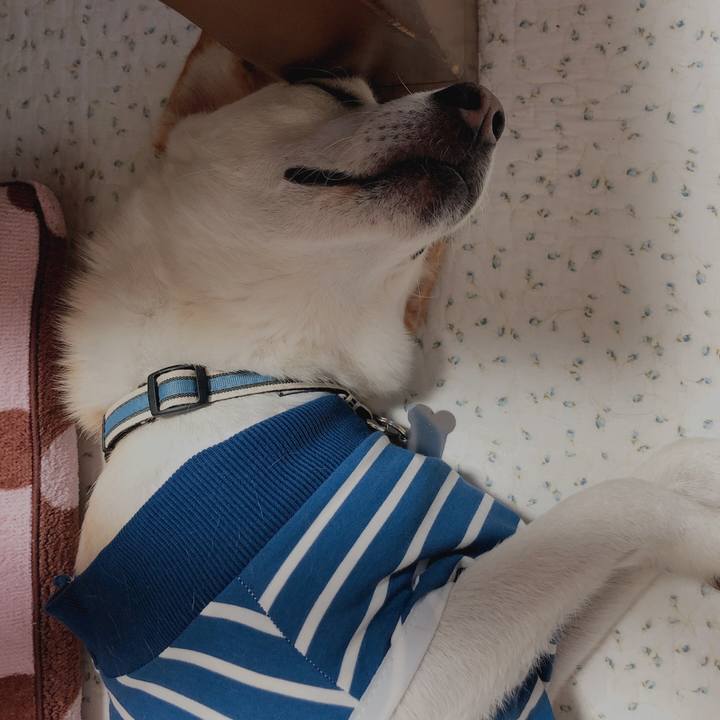 A3ded077 fe1a 4c65 830e 848733087949 1628809222831