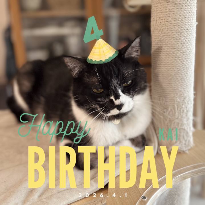 A3def780 1624 4a83 b4d1 8cacca5c85a1 1775007013524