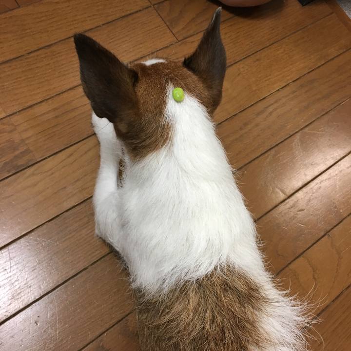 A3df0340 b827 498d 8014 6b00f58c1939 1567654199824