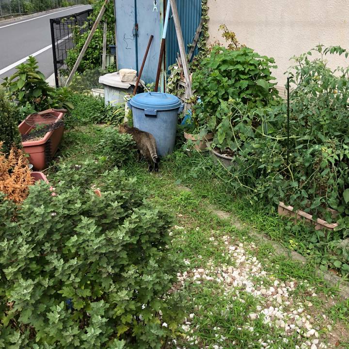 A3df934d 67a8 4d2a 8b08 3a6a7e95e018 1536653452486