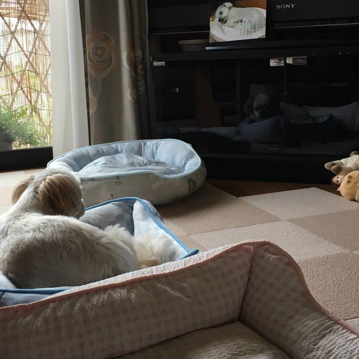 A3df99d7 2d30 4b04 9911 5f3d6c455776 1591848724971