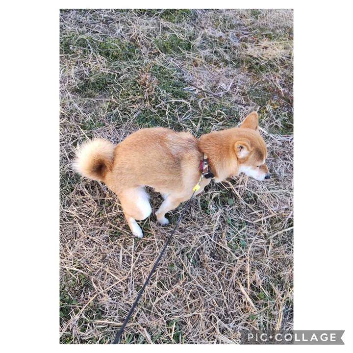 A3df9fb3 c6c2 4c92 8e77 ffd0255ad433 1706745824942