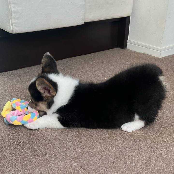 A3dfbc0c 9794 4ba8 a805 5e73451bab3c 1768398662354