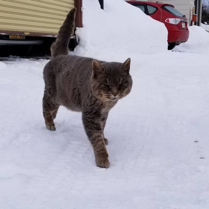 A3dfe8a9 91d3 40f5 a6b4 c832cf750d85 1548633554578