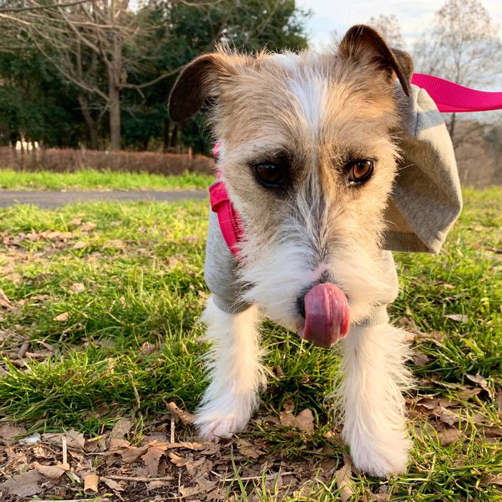 A3dff176 176e 4203 84e6 47de85bcee1d 1580719760361