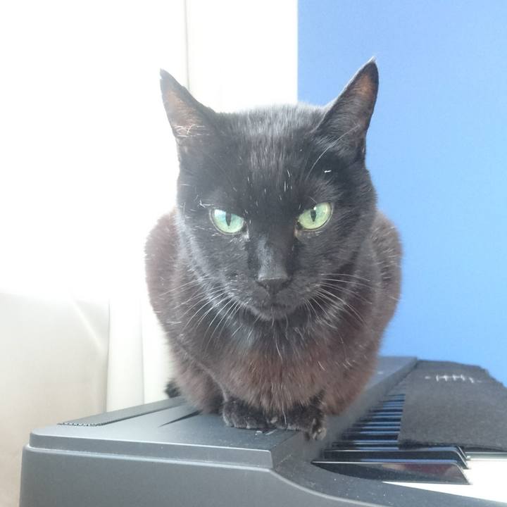 A3e038b9 c9ac 41c4 94fa 0b16afd28ae9 1517909778866