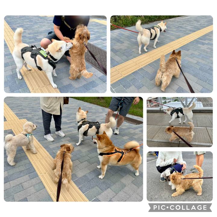 A3e03d88 6fba 4e06 bb39 ab57444a0939 1750321576014