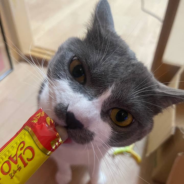 A3e0404d 421f 4bb1 ad88 556ddbe2f7a1 1629280156609