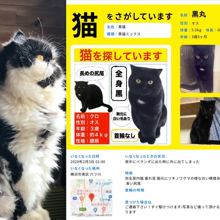 A3e042b5 987e 4906 bbb3 c23903cba021 1581766454761